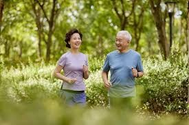 [法甲]第14轮：昂热VS朗斯